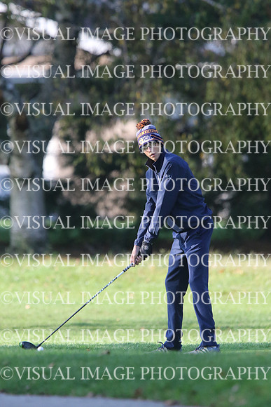 ILGF_17_T201002