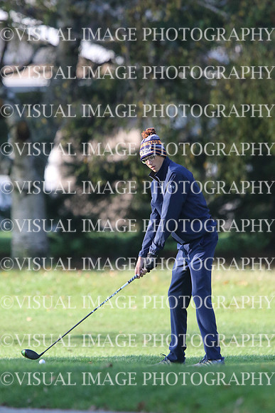 ILGF_17_T201003