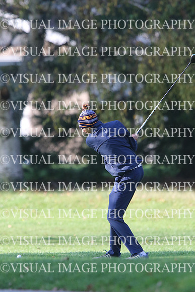 ILGF_17_T201004