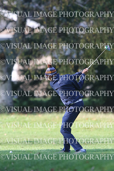 ILGF_17_T201005