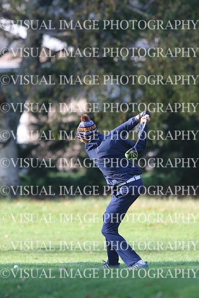 ILGF_17_T201006