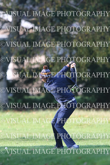 ILGF_17_T201007