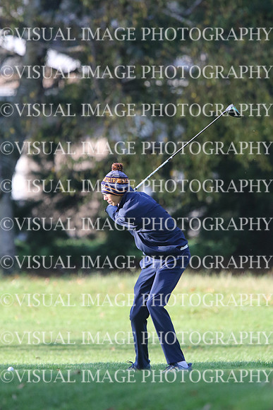 ILGF_17_T201008
