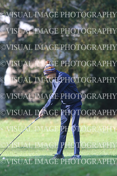 ILGF_17_T201009