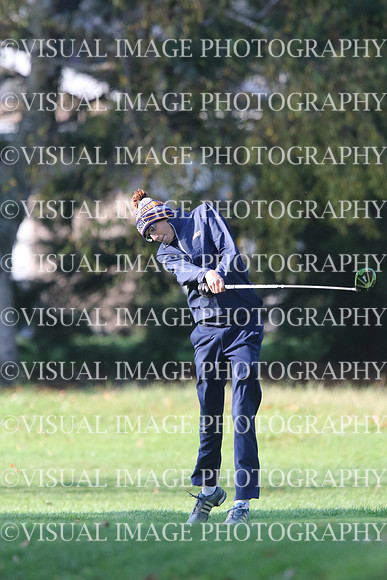 ILGF_17_T201010