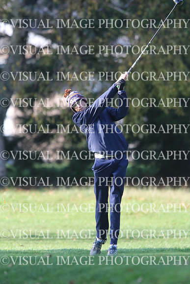ILGF_17_T201011
