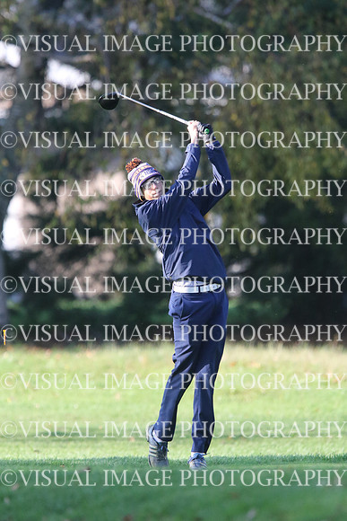ILGF_17_T201012