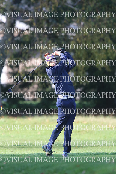 ILGF_17_T201013