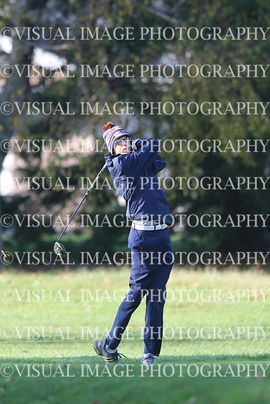 ILGF_17_T201014