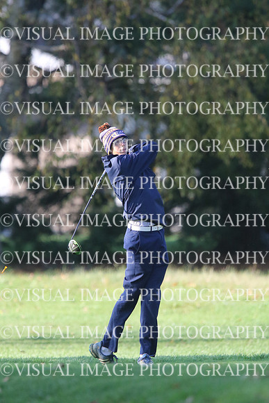 ILGF_17_T201015