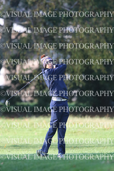 ILGF_17_T201017