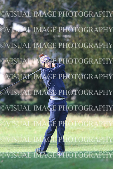 ILGF_17_T201018