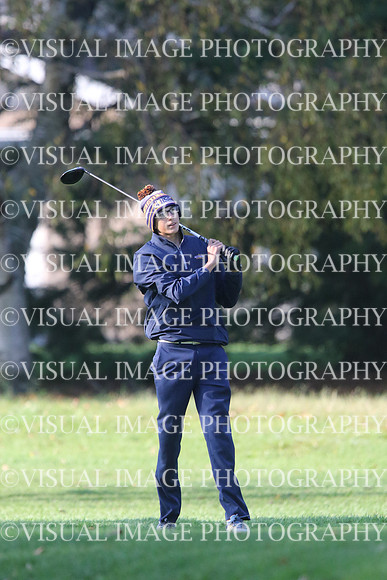 ILGF_17_T201019
