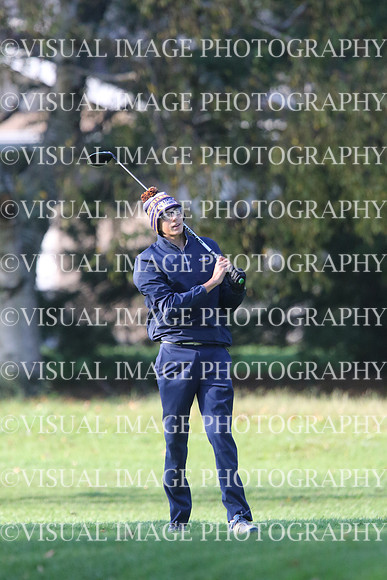 ILGF_17_T201020