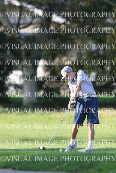 ILGF_17_T201035