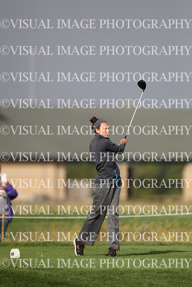 ILGF_17_IND10029