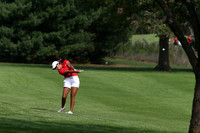 03 Hinsdale Central