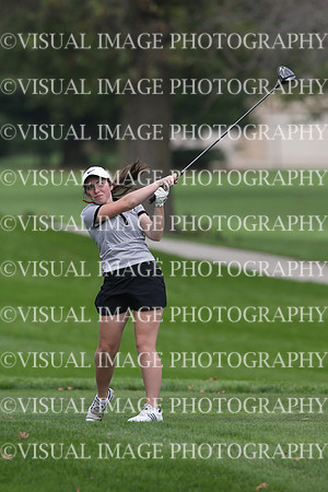 ILGFG_17_T204026