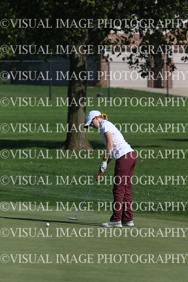 ILGFG_17_T205009
