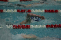 wiswg09_1free_2006