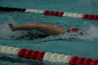 wiswg09_5free_2005
