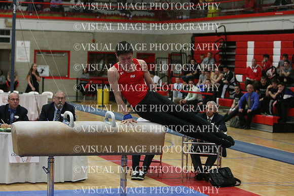 ILGYM14_PHORSE_I084