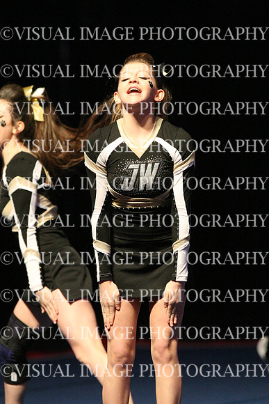 ILCHEER_15_L09036