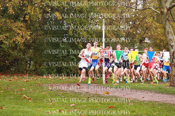 ILXC_17_30002
