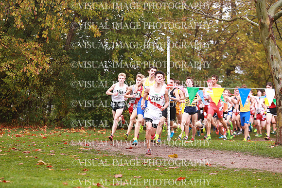 ILXC_17_30005