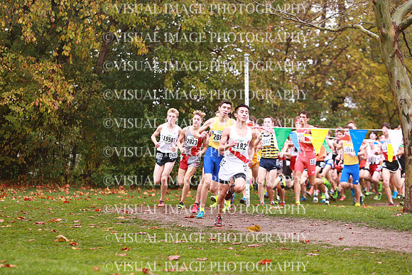 ILXC_17_30006