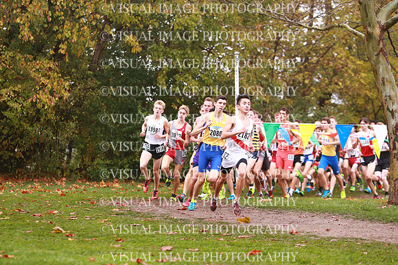 ILXC_17_30007