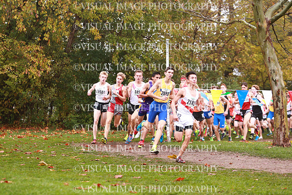 ILXC_17_30008