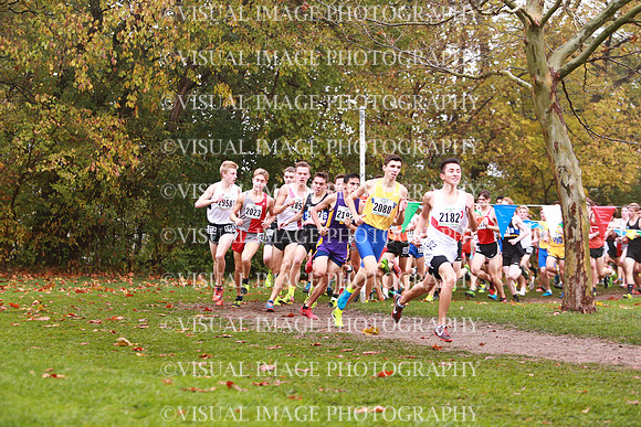 ILXC_17_30010