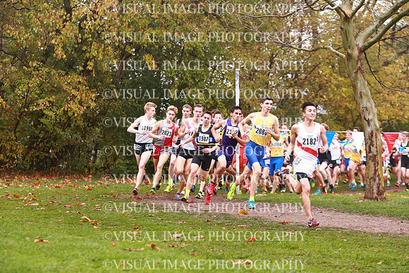 ILXC_17_30011