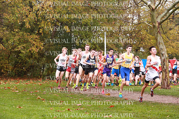 ILXC_17_30013