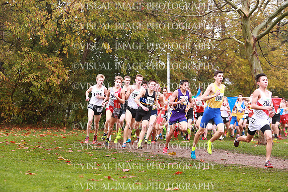 ILXC_17_30014