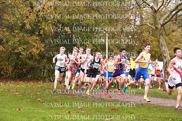 ILXC_17_30015