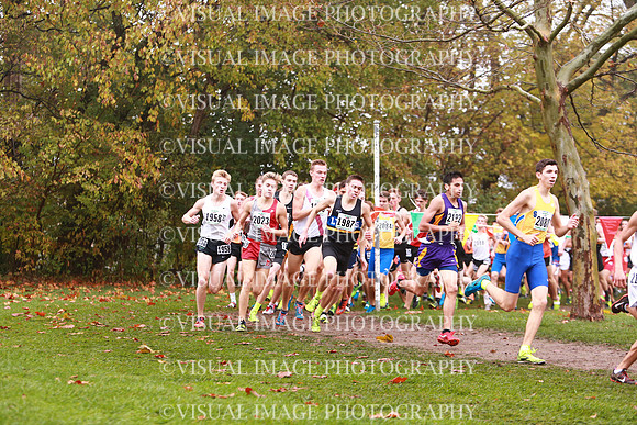 ILXC_17_30016