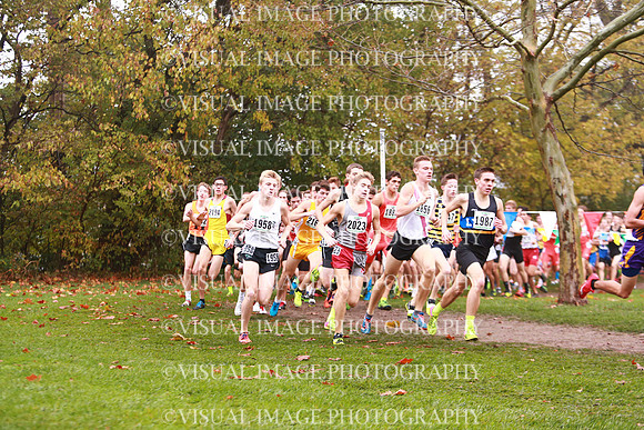 ILXC_17_30021