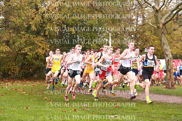 ILXC_17_30022