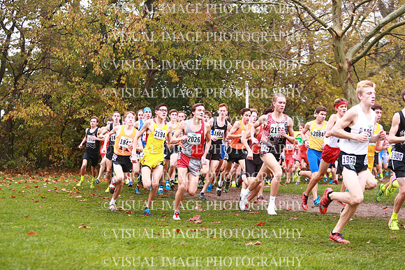 ILXC_17_30030