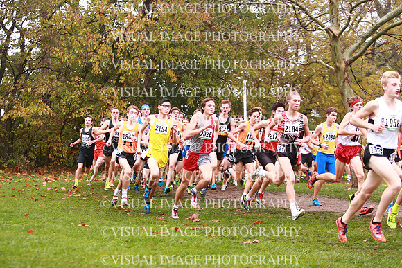 ILXC_17_30031