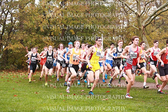 ILXC_17_30035