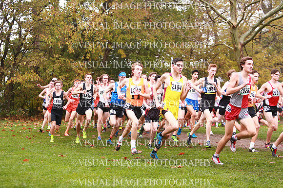 ILXC_17_30036