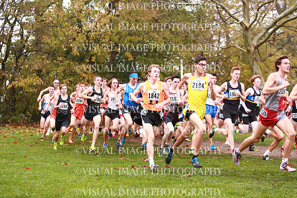 ILXC_17_30037