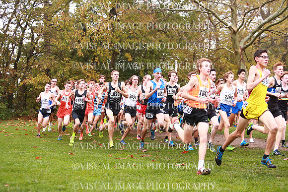 ILXC_17_30039