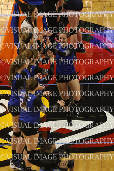 ILVBG_17_S110025