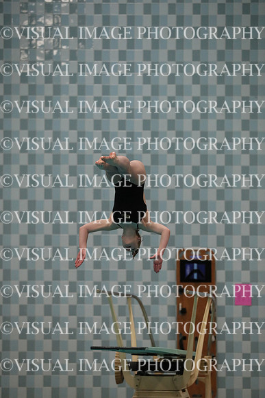 WISWG_17_D10004