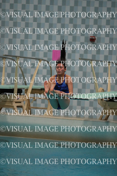 WISWG_17_D10013