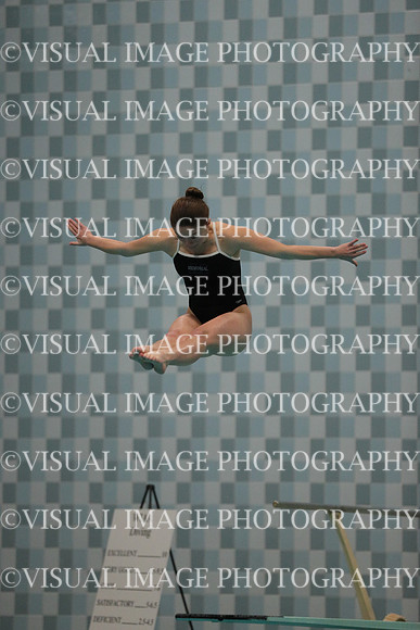 WISWG_17_D10018